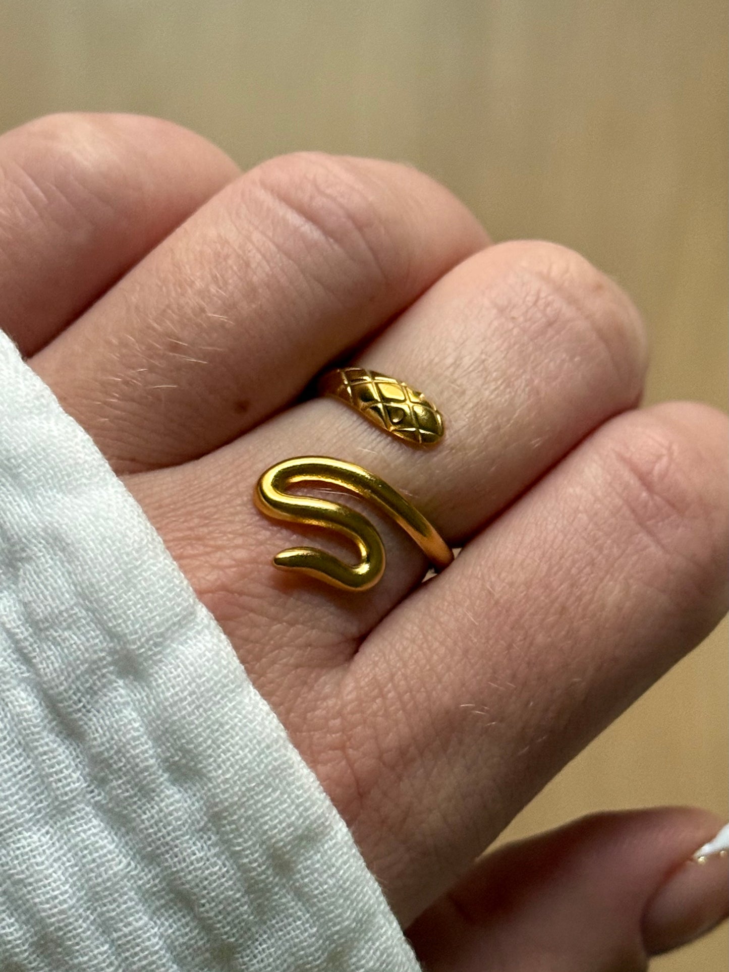 SERPENTARD l Bague inoxydable