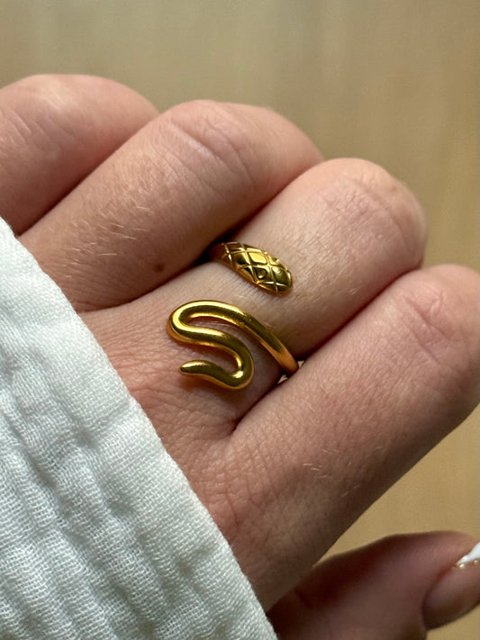 SERPENTARD l Bague inoxydable