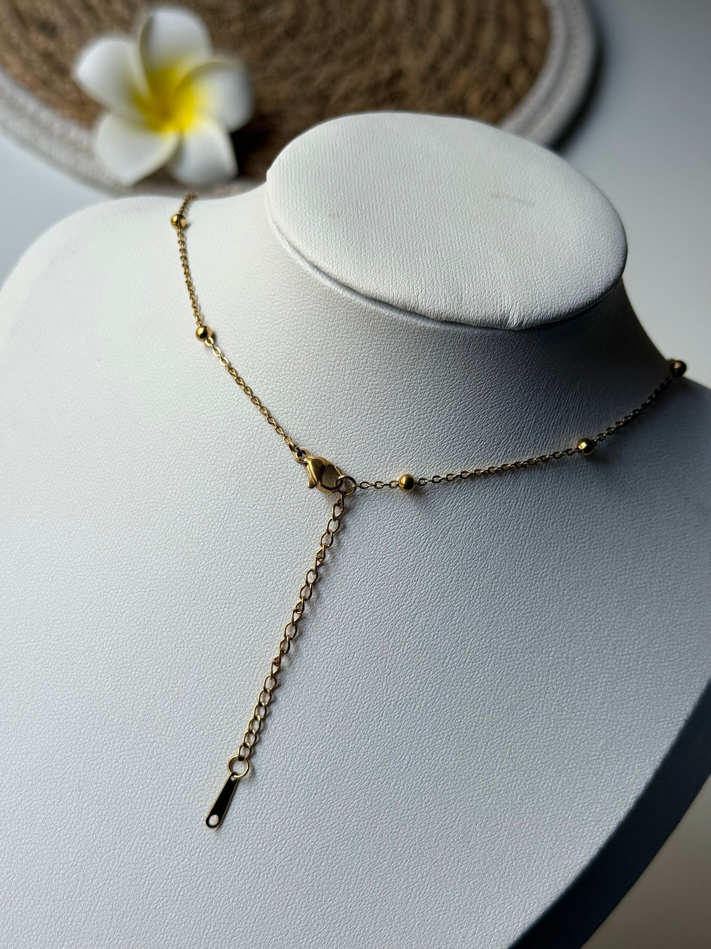 ALBA l Collier inoxydable