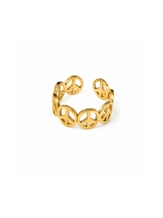NEW l Bague inoxydable