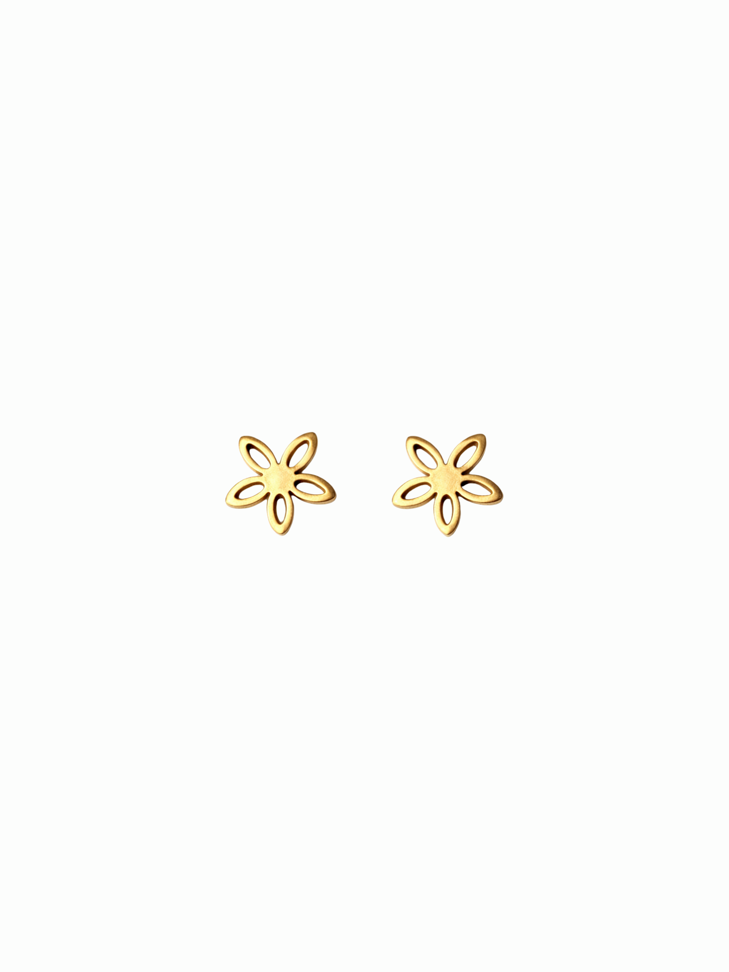 NEW l Boucles puces inoxydables