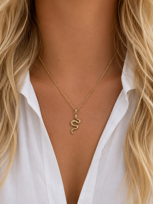NEW l Collier inoxydable