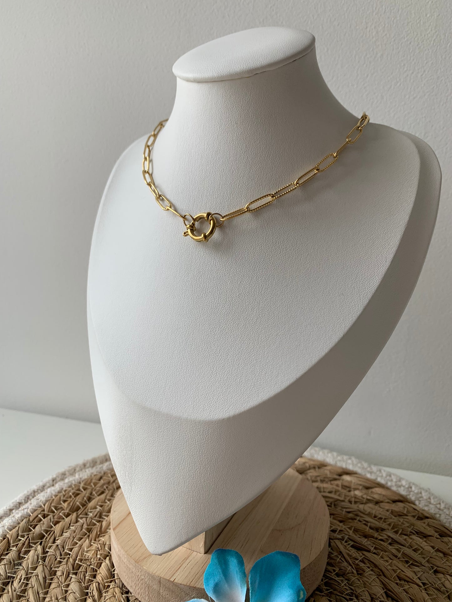 Collier ajustable en acier inoxydable chocker ras de cou