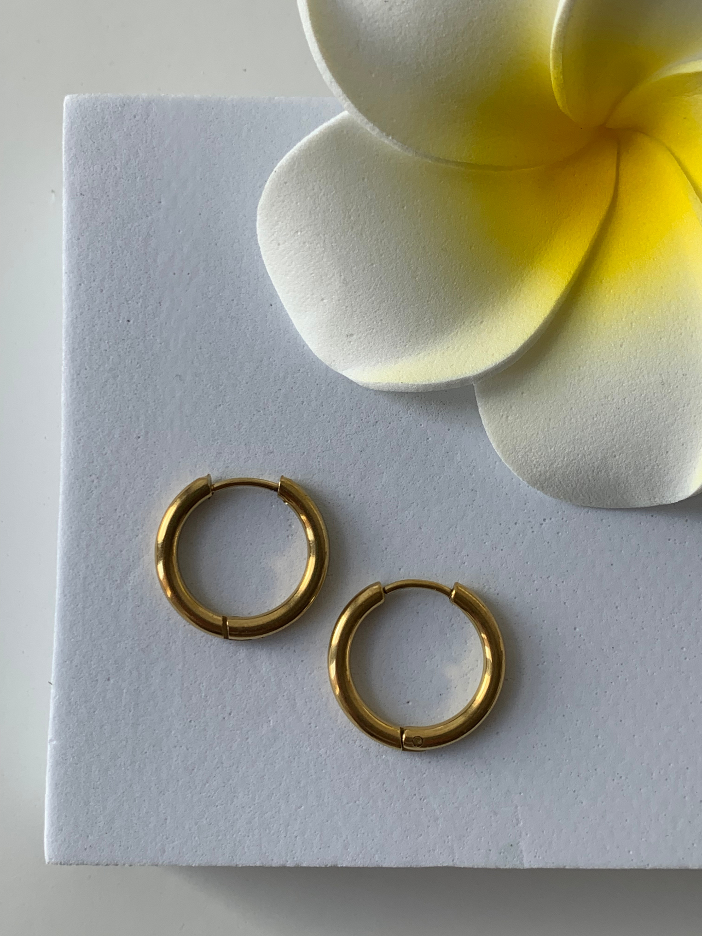 ELSA l Anneaux inoxydables - 1.5cm