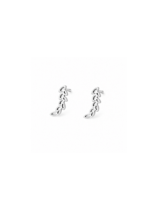 NEW l Boucles puces inoxydables