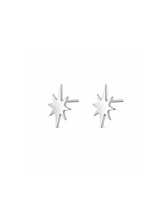 NEW l Boucles puces inoxydables