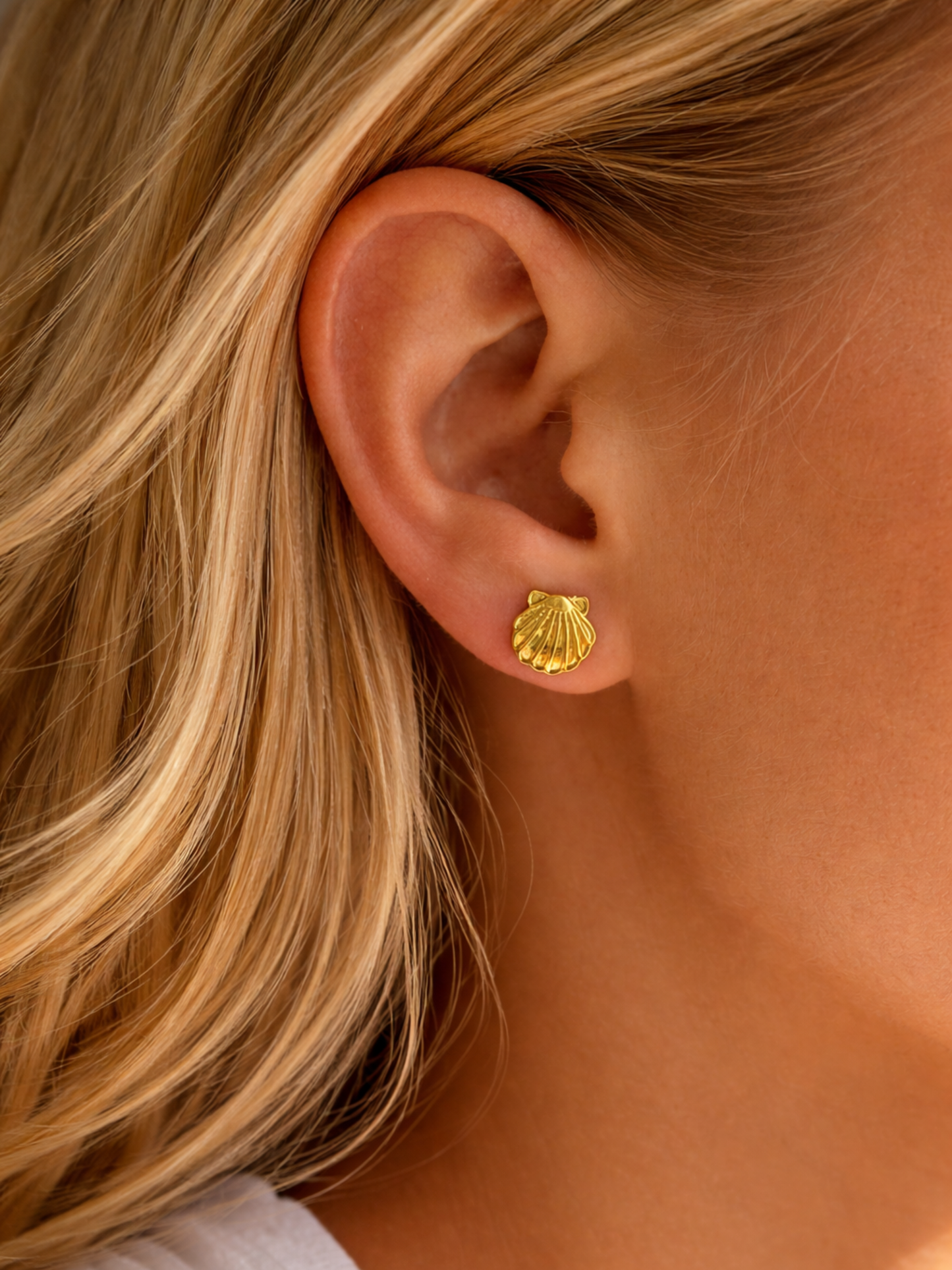 OCEAN MOOD - ARCHIPEL l Puces inoxydables