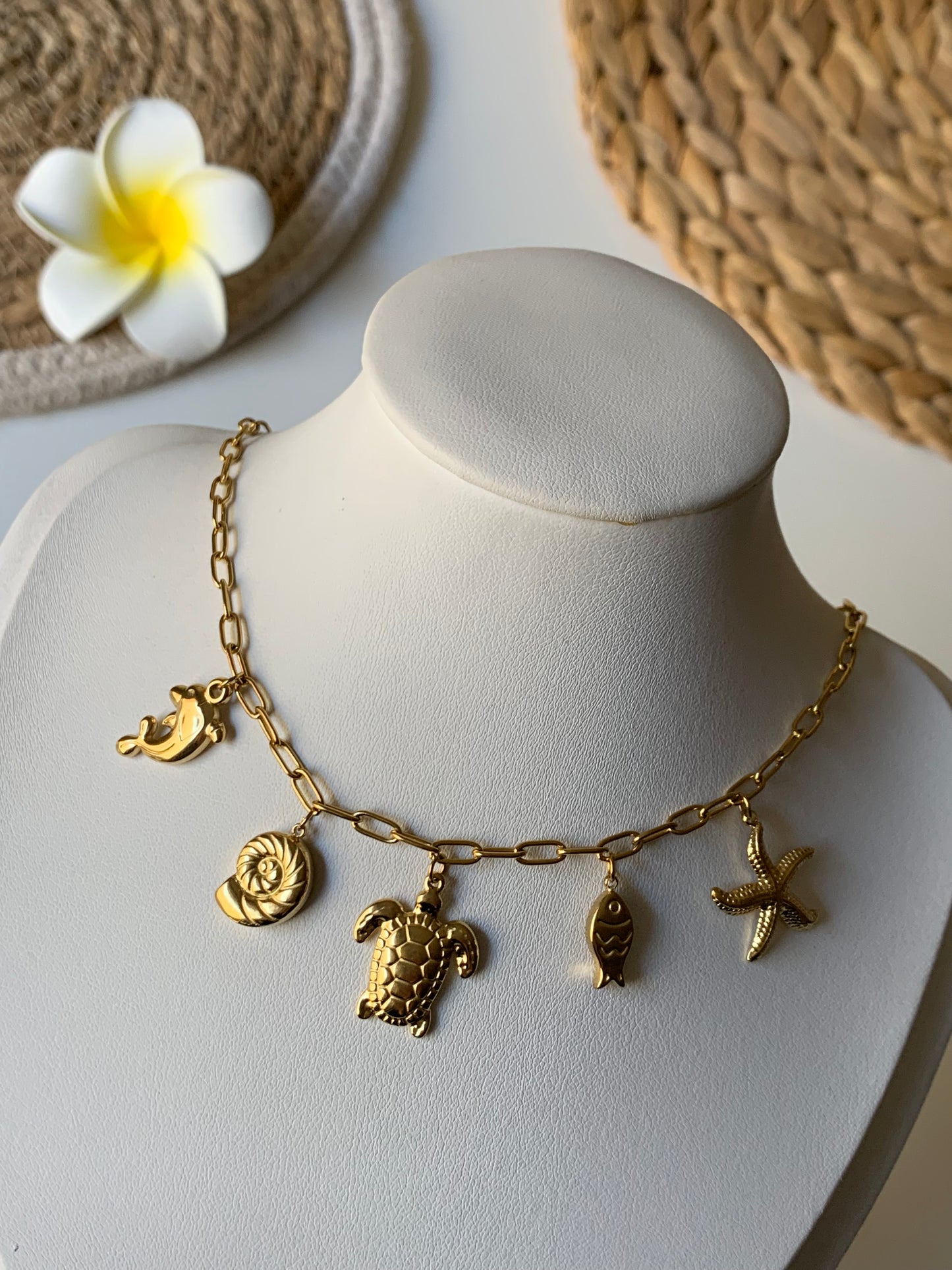 OCEAN MOOD - CORAIL l Collier inoxydable