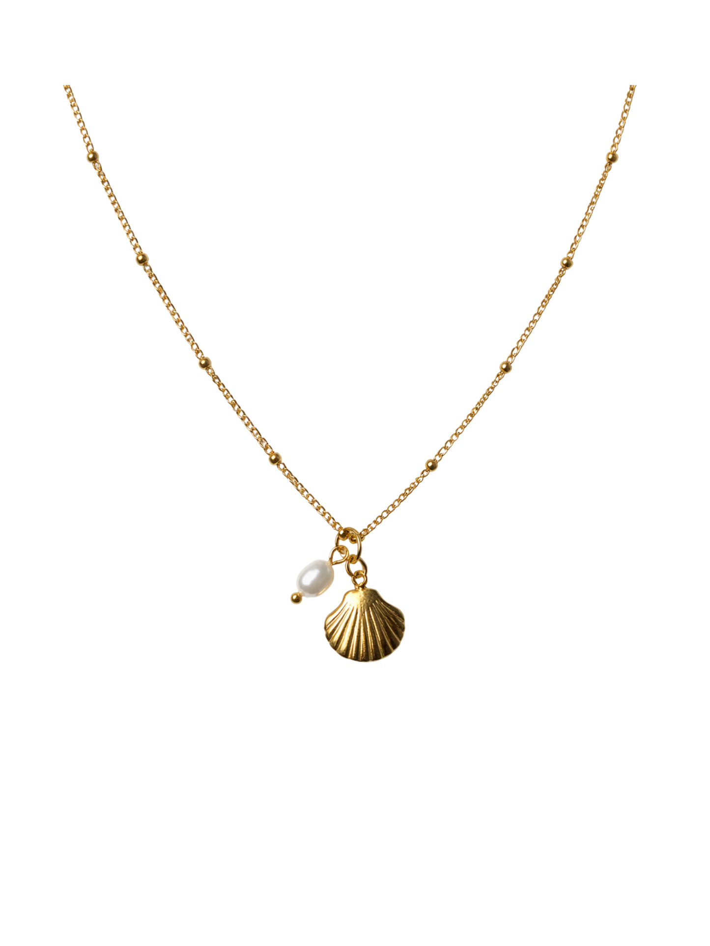 OCEAN MOOD - COQUILLAGE l Collier inoxydable