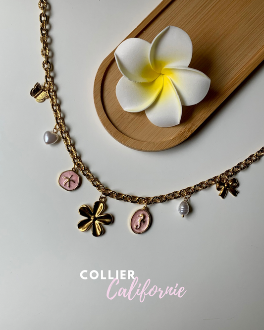 CALIFORNIE - Collier charms inoxydable