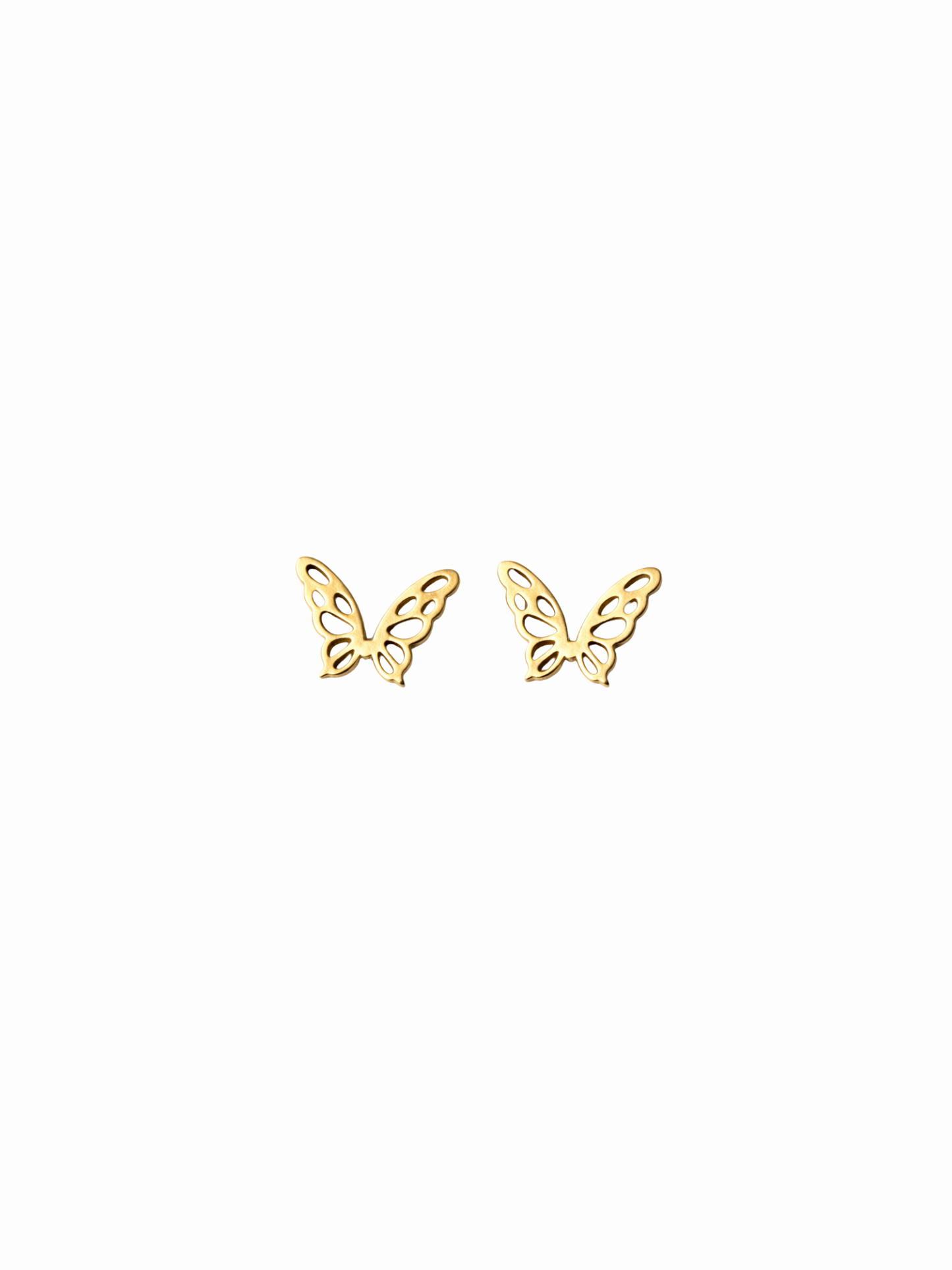 NEW l Boucles puces inoxydables