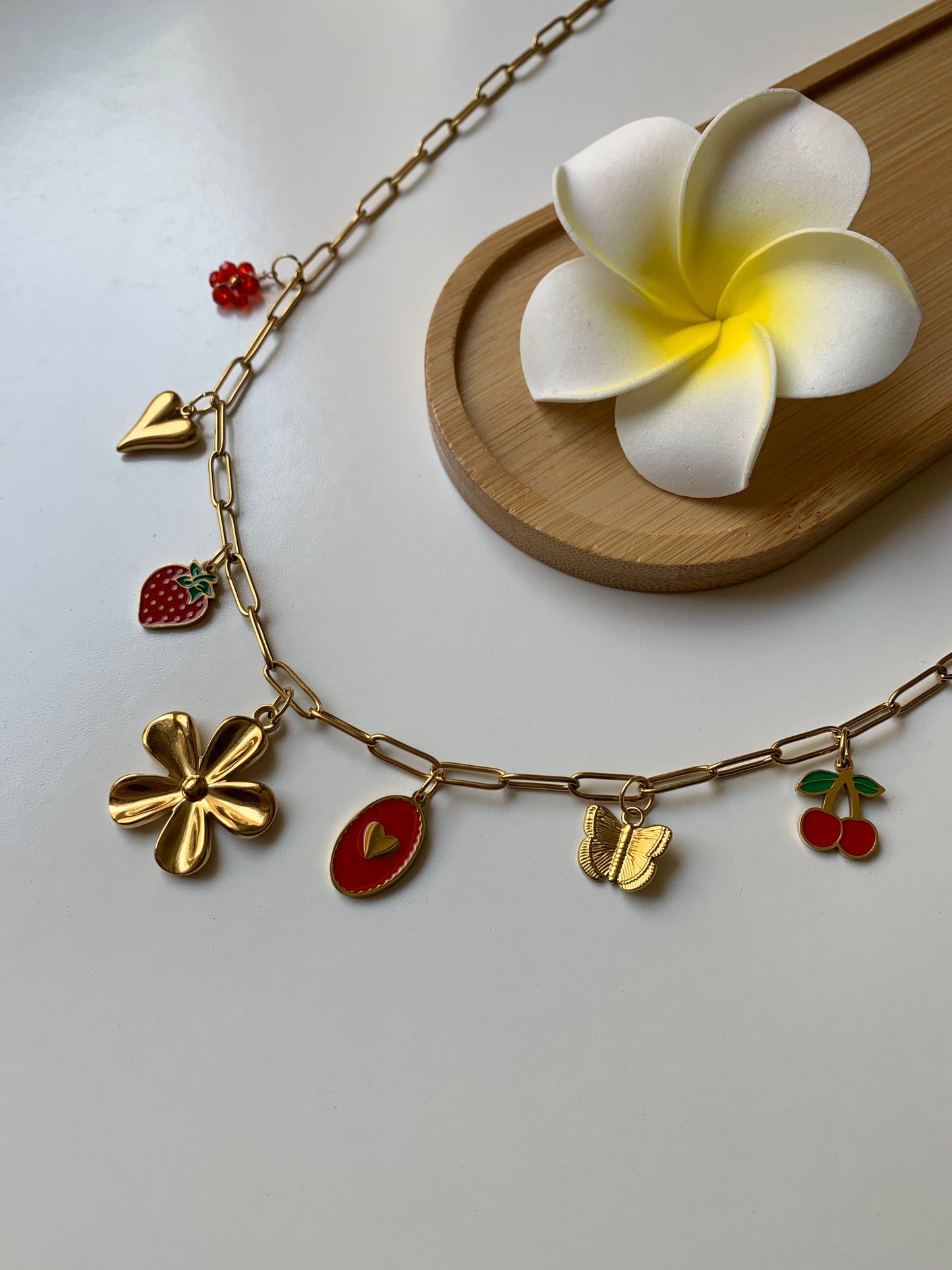 COLOMBIA - Collier charms inoxydable