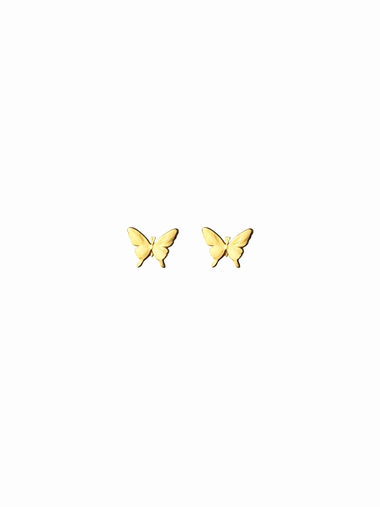 NEW l Boucles puces inoxydables