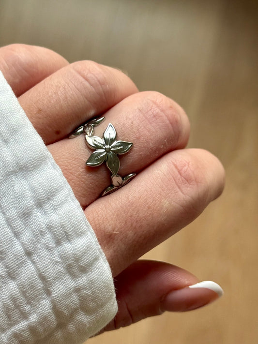 THALYS l Bague inoxydable