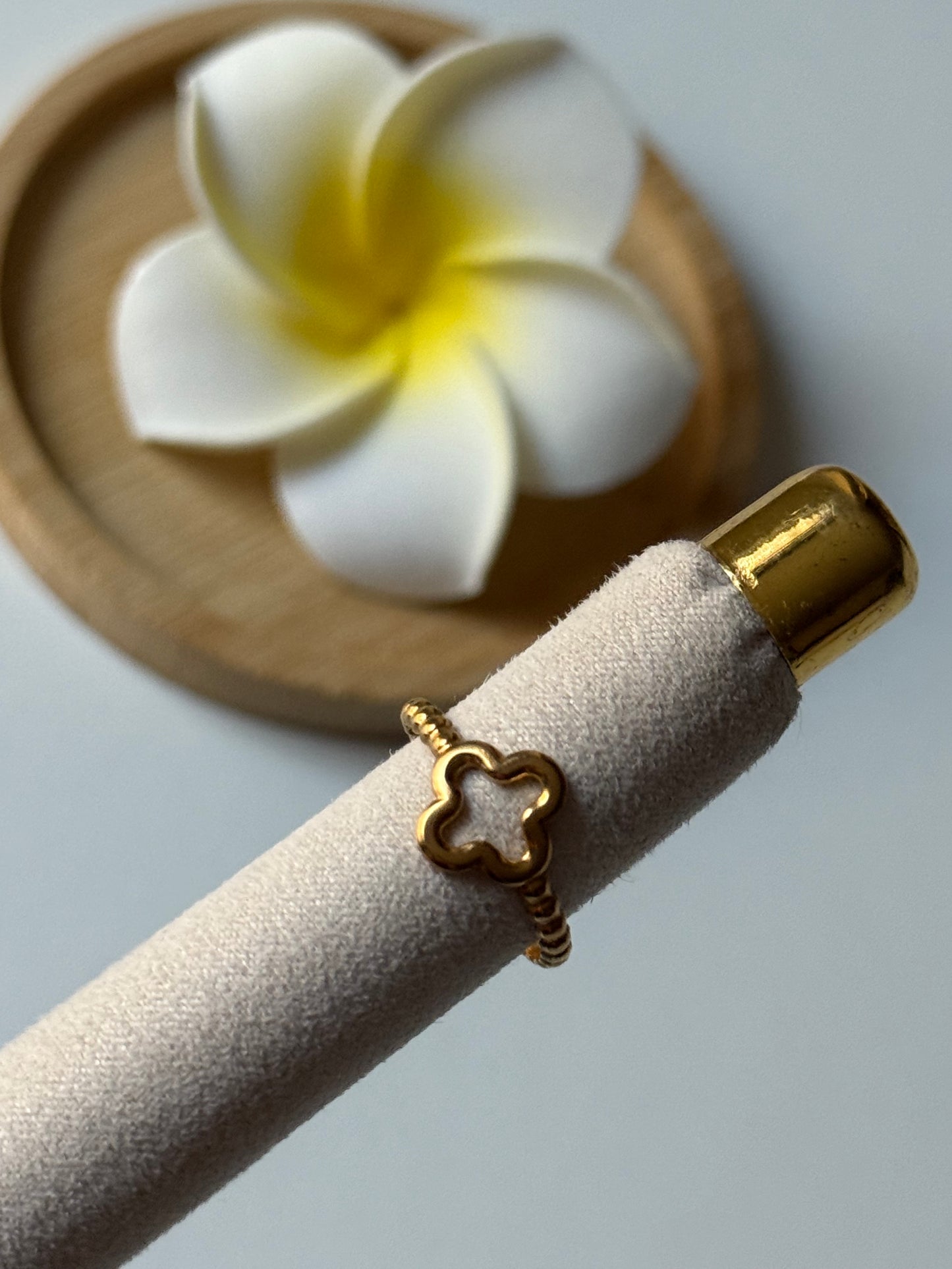 NEW l Bague inoxydable