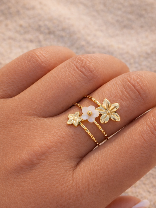 IRIS l Bague inoxydable