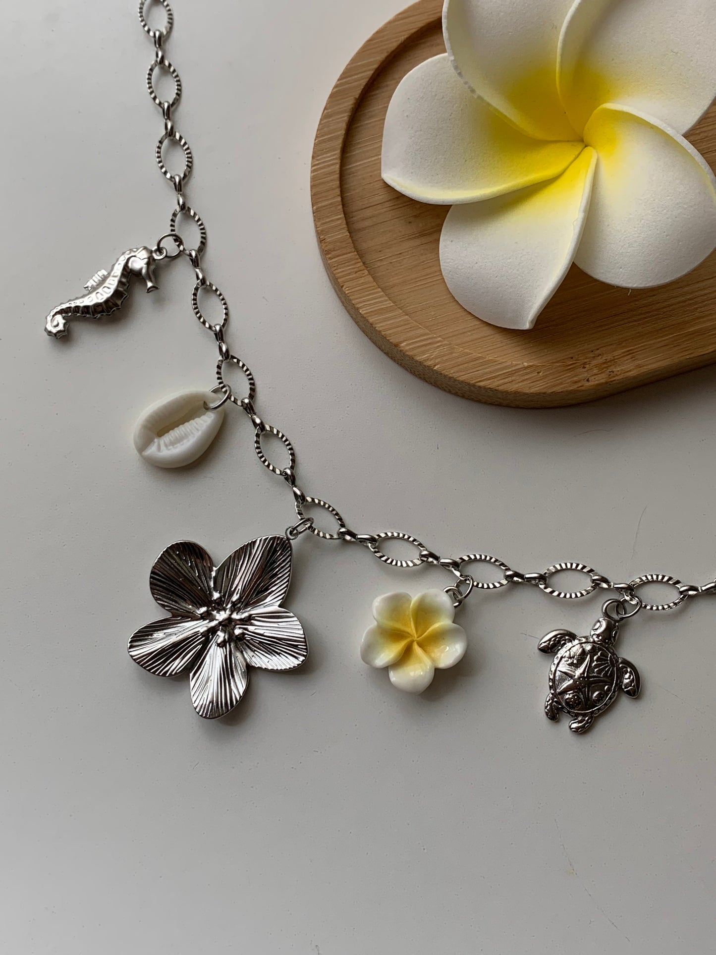 MADAGASCAR - Collier charms inoxydable