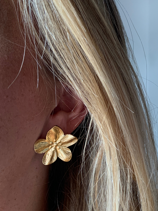 MOANA l Boucles inoxydables