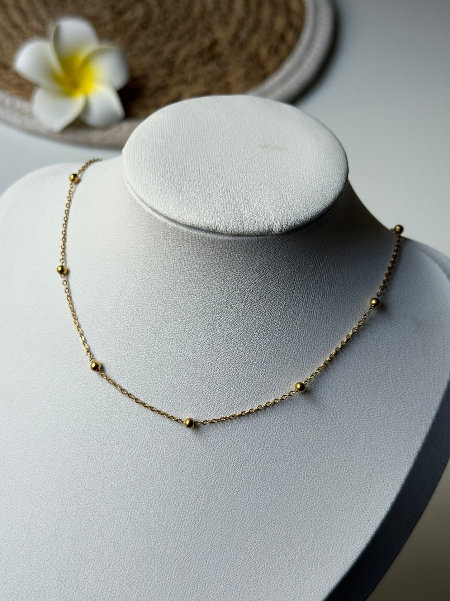 ALBA l Collier inoxydable