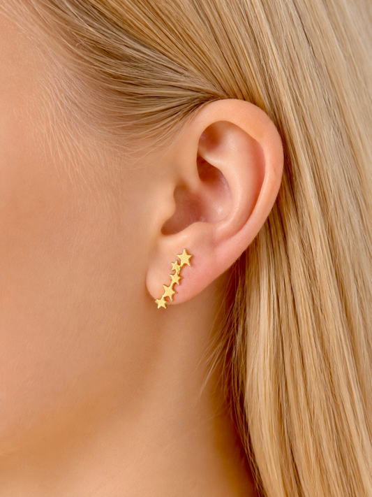 ASTRES l Boucles puces inoxydables