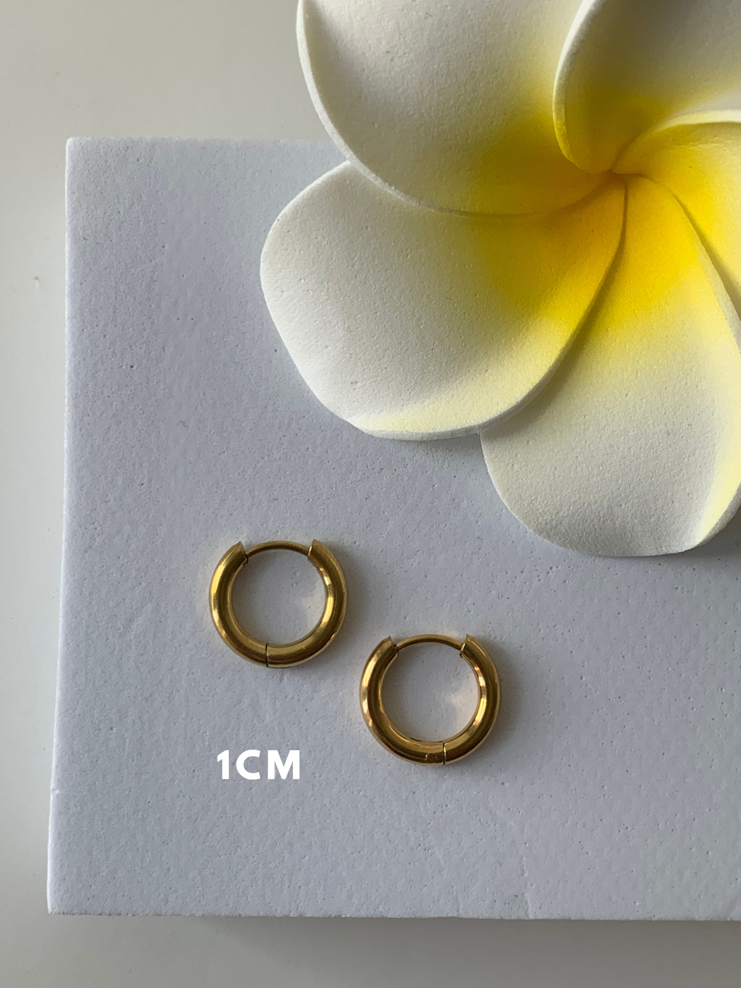 ELSA l Anneaux inoxydables - 1cm