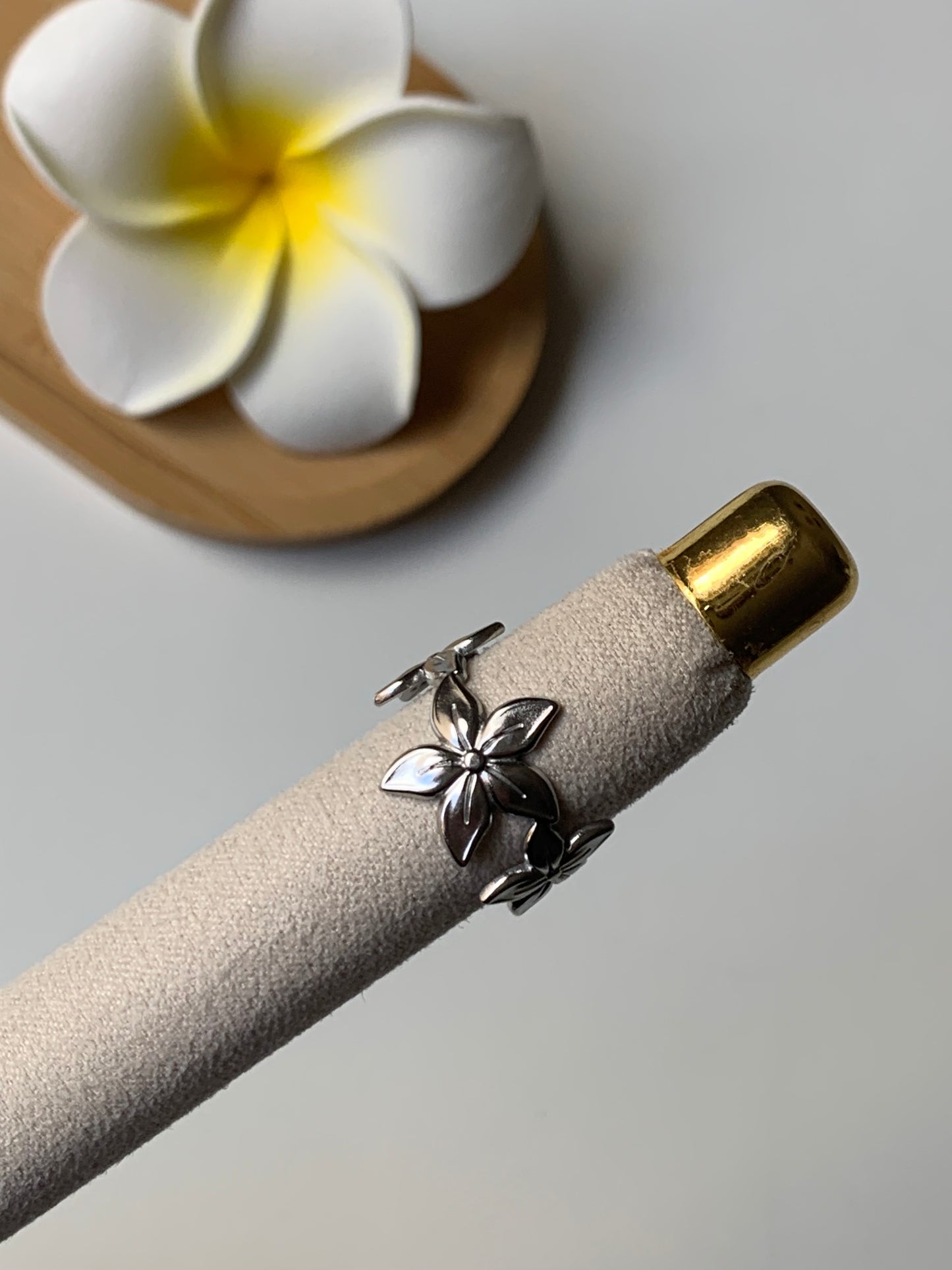 THALYS l Bague inoxydable