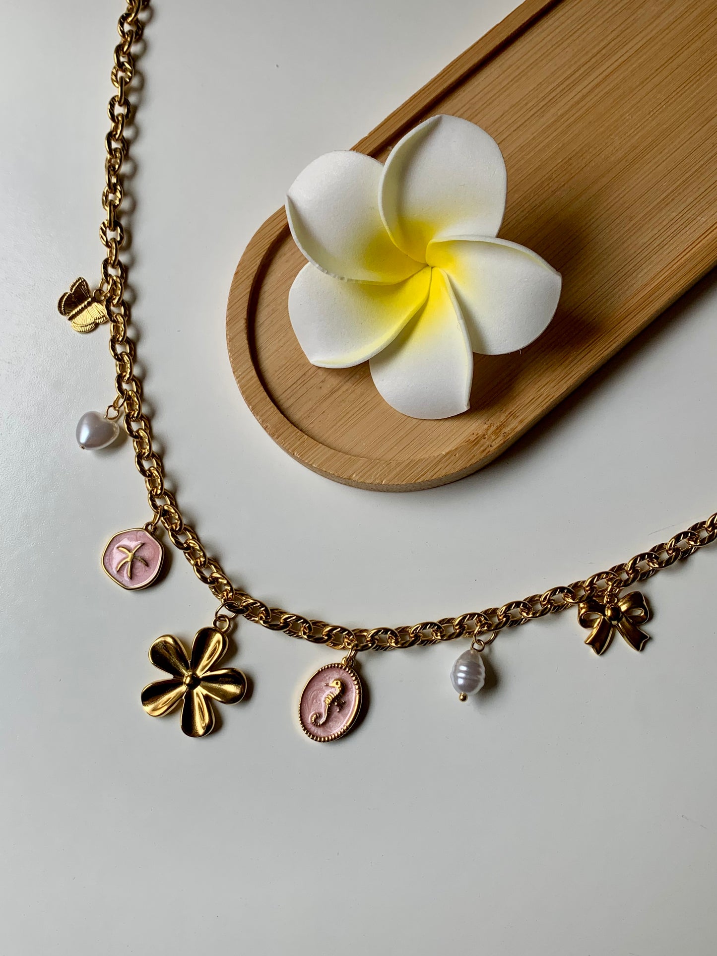 CALIFORNIE - Collier charms inoxydable