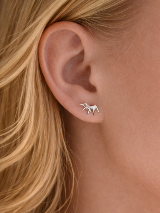 ASTRES - SOLEA l Puces inoxydables