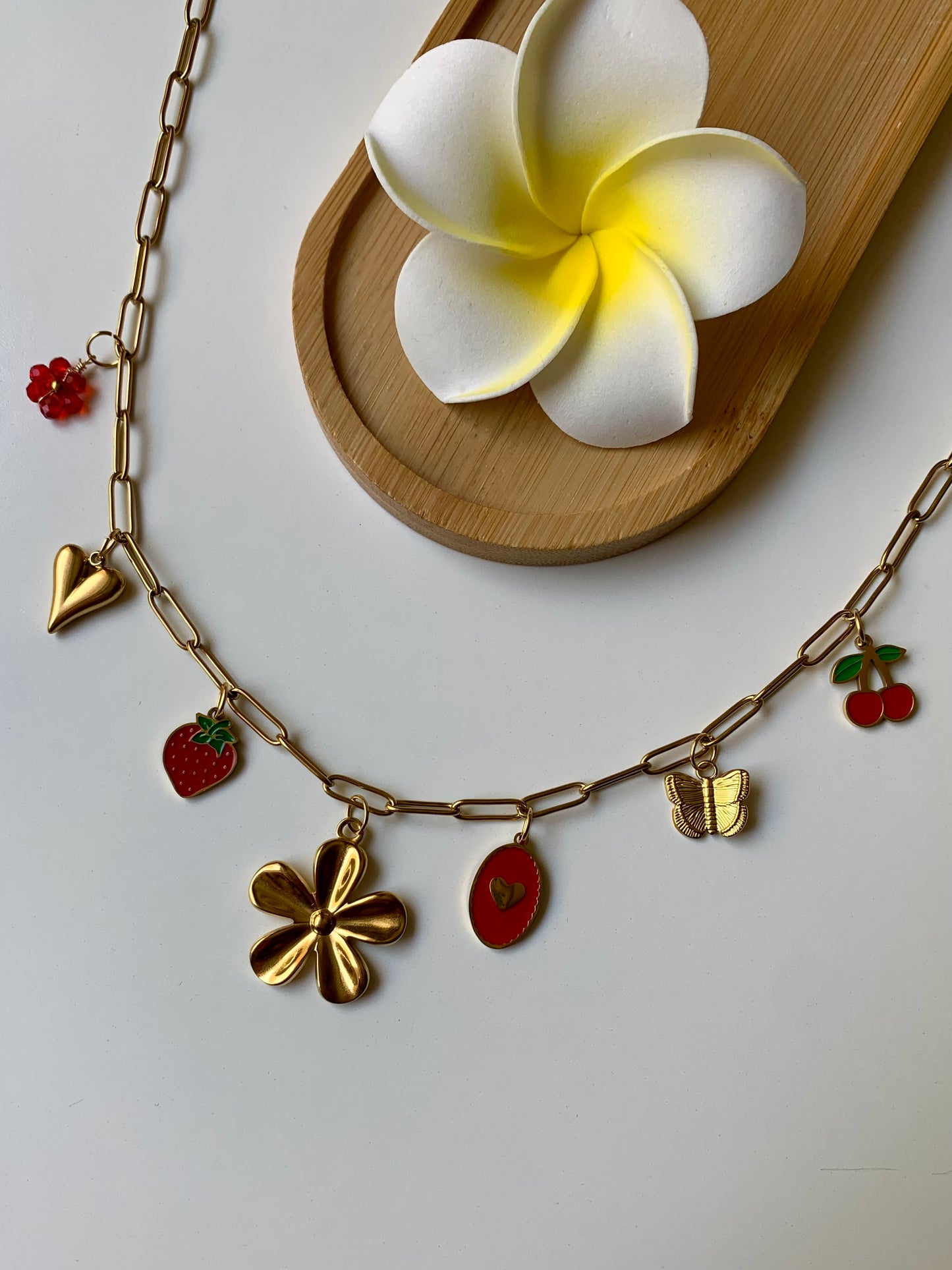 COLOMBIA - Collier charms inoxydable