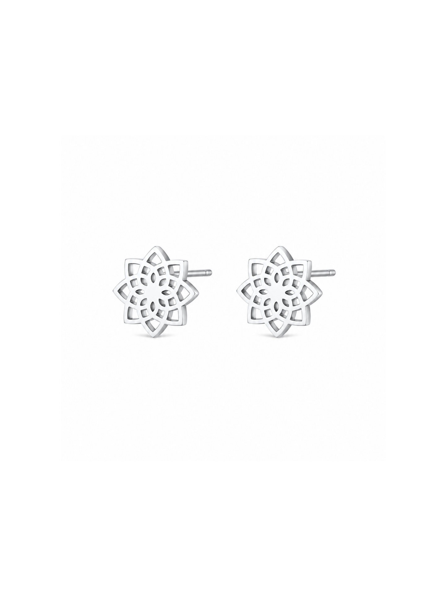 NEW l Boucles puces inoxydables