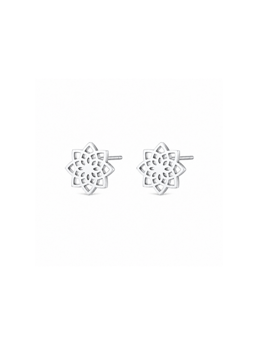 NEW l Boucles puces inoxydables