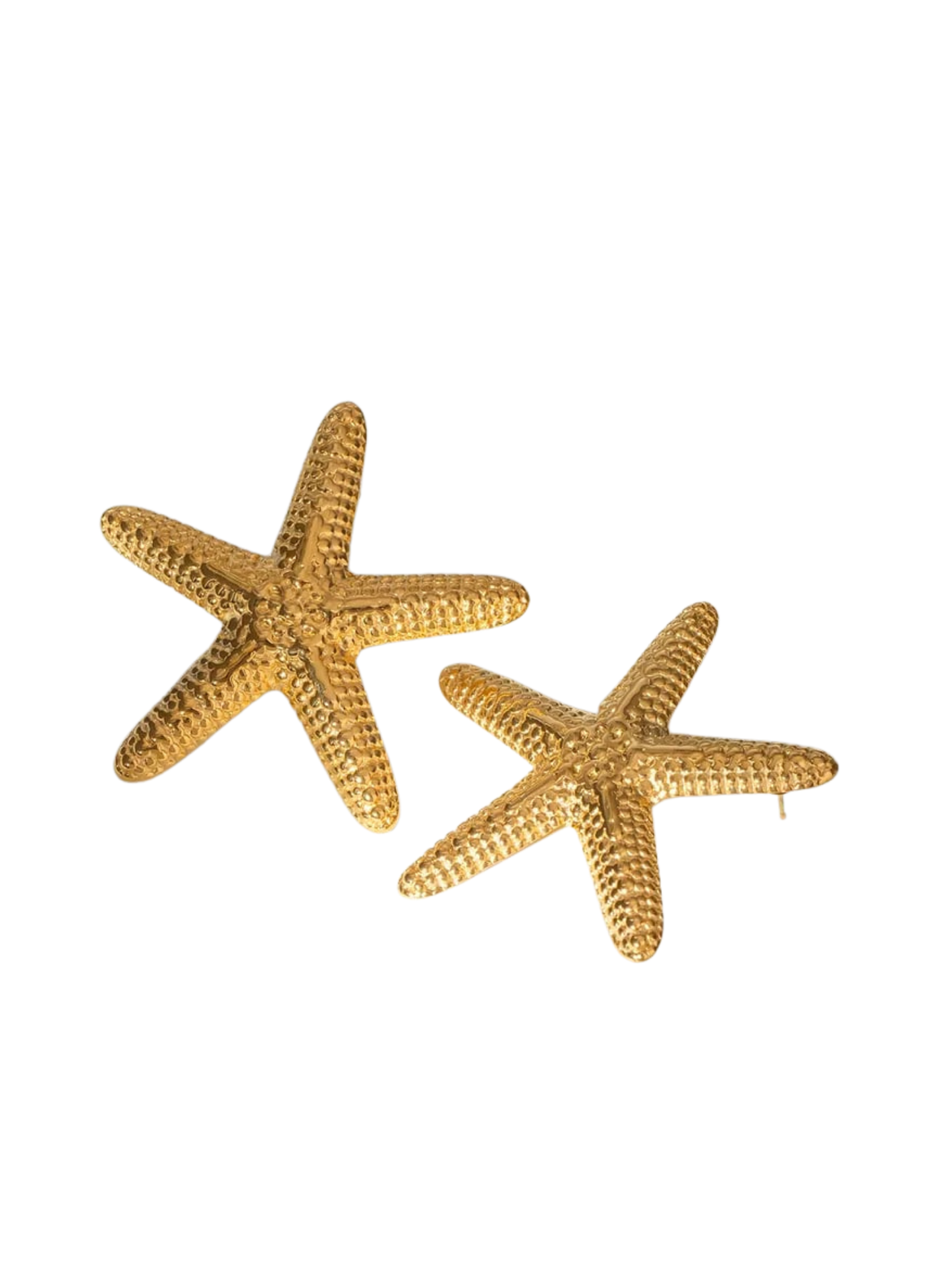 OCEAN MOOD - CARAÏBES l Boucles inoxydables