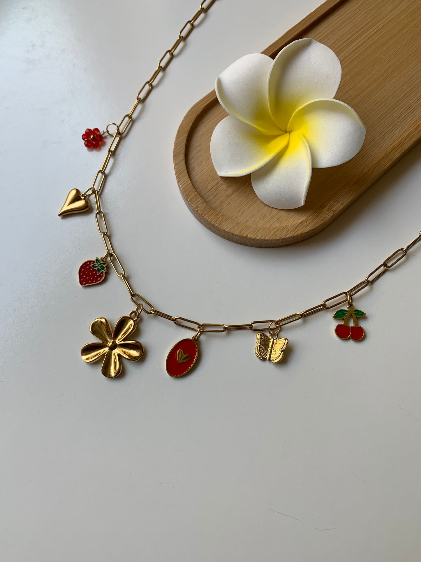 COLOMBIA - Collier charms inoxydable