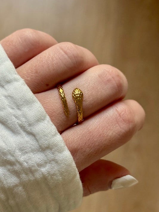 NEW l Bague inoxydable