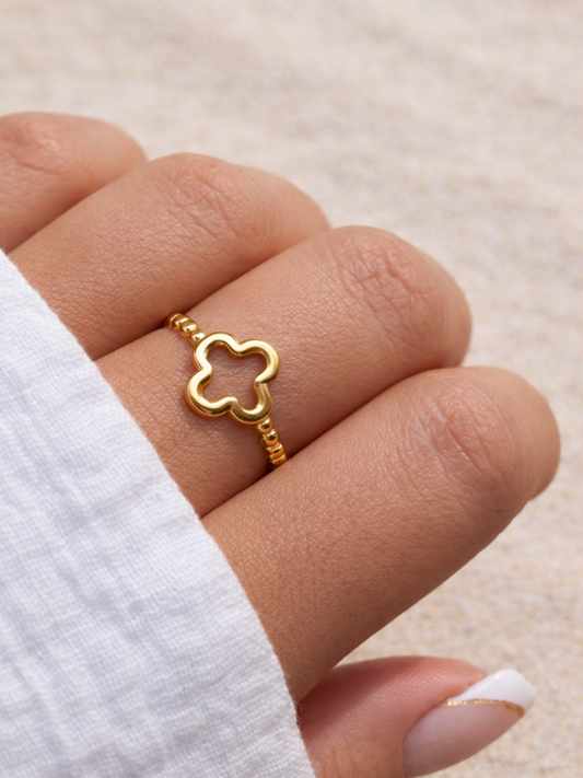 NEW l Bague inoxydable