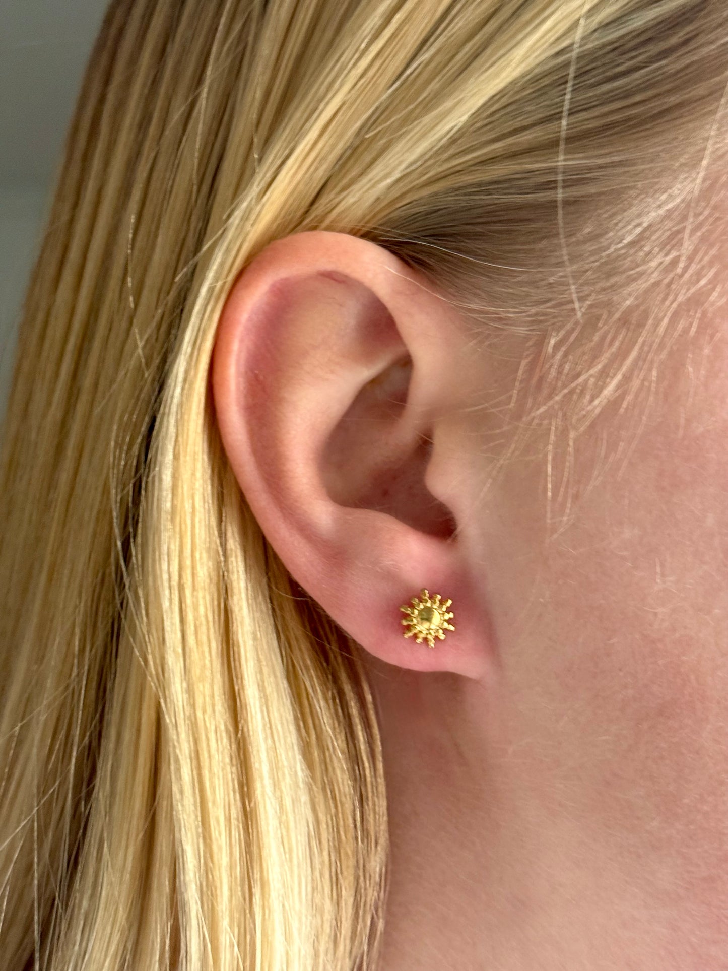 ASTRES - SOLAIRE l Puces inoxydables