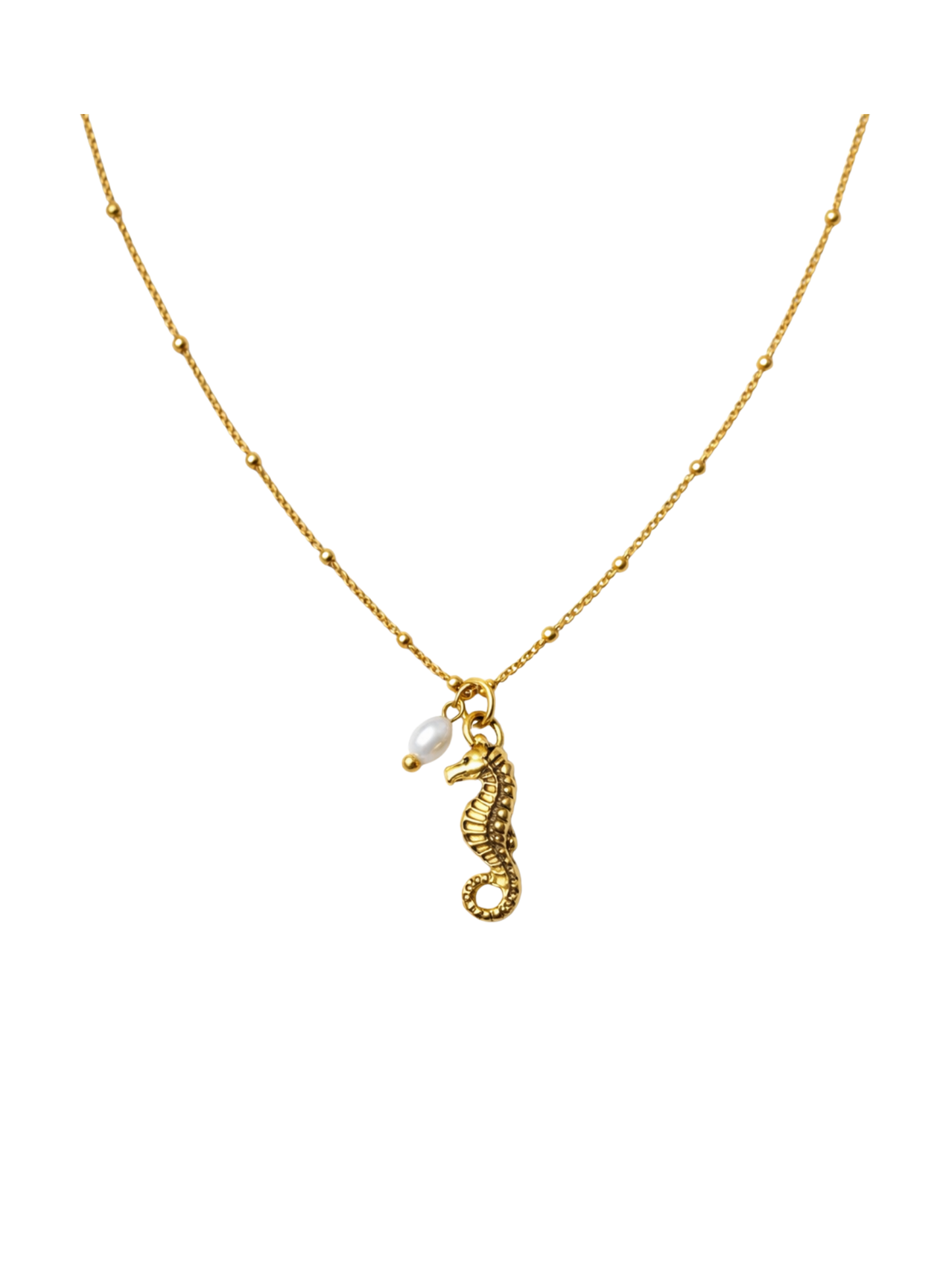 OCEAN MOOD - SEAHORSE l Collier inoxydable