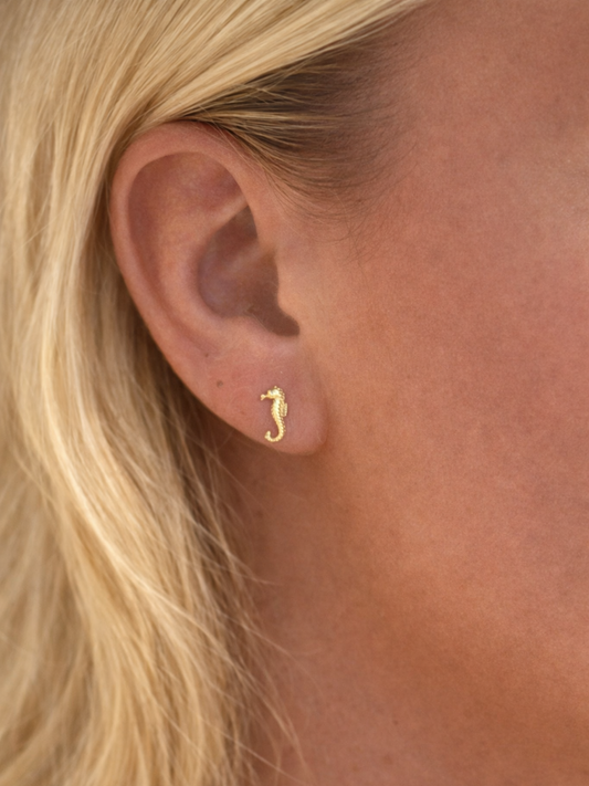 ANÉMONE l Boucles inoxydables