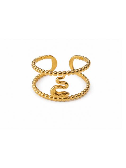 NEW l Bague inoxydable