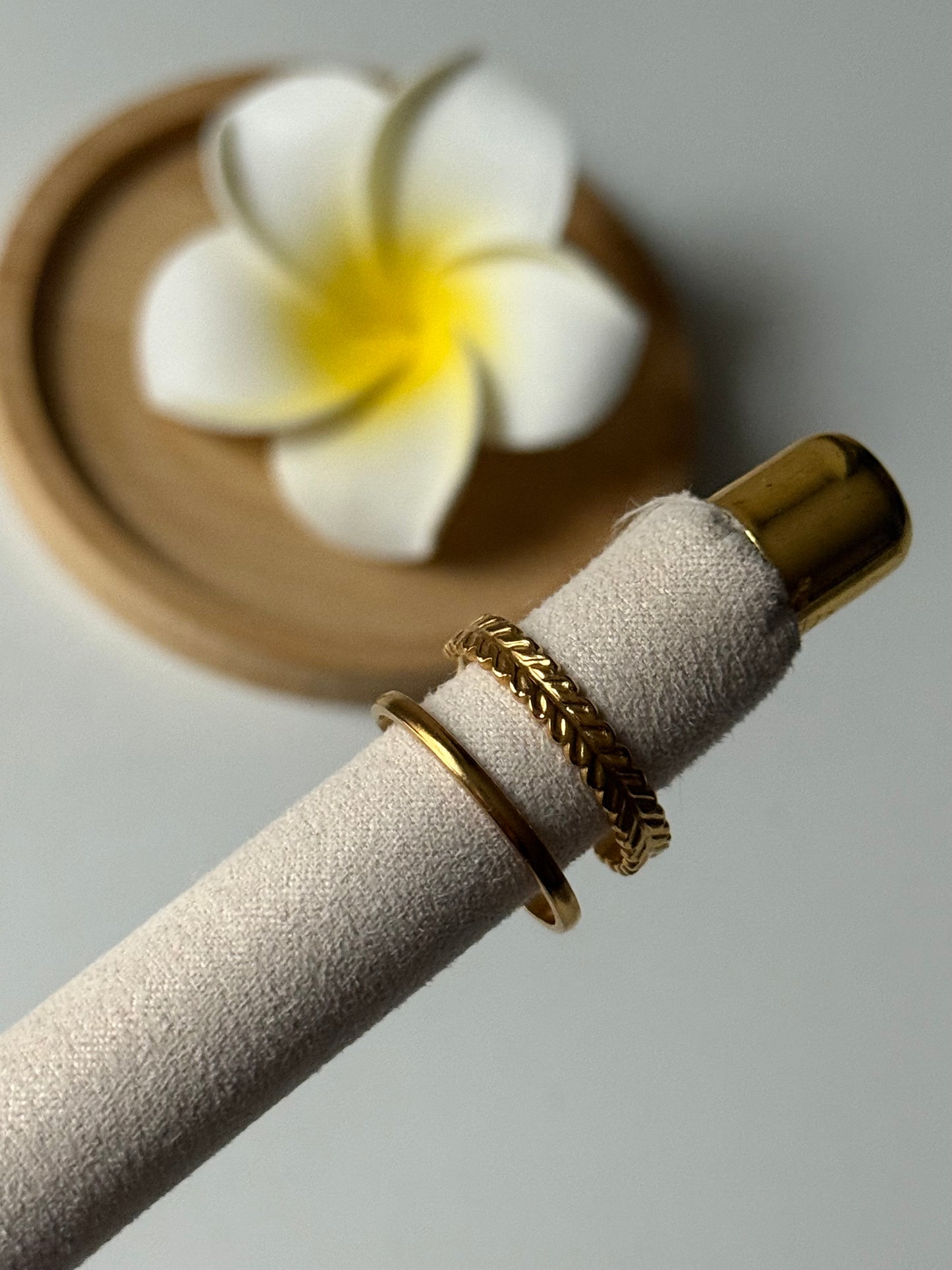 NESSA l Bague inoxydable