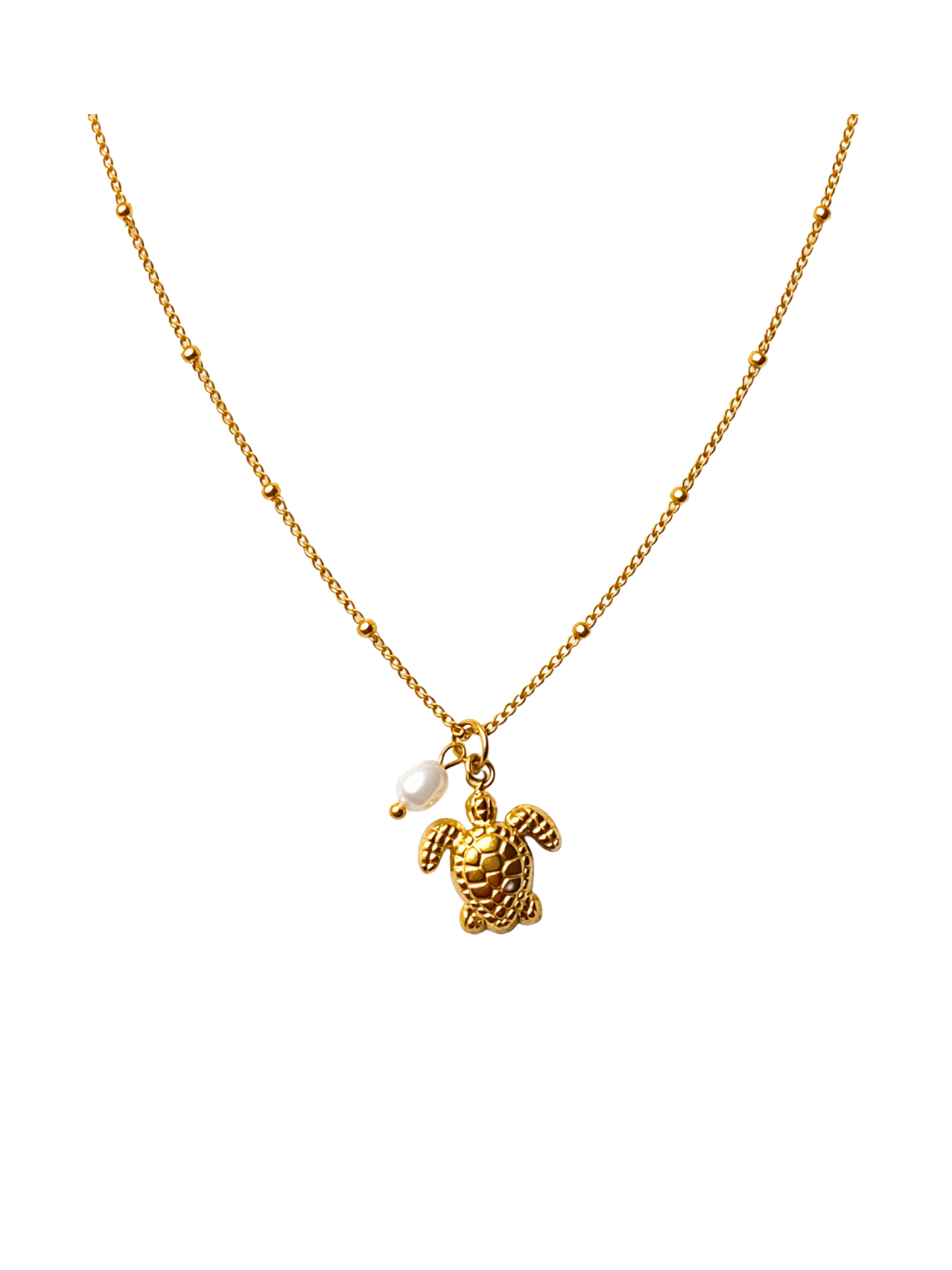 OCEAN MOOD - TORTUE l Collier inoxydable