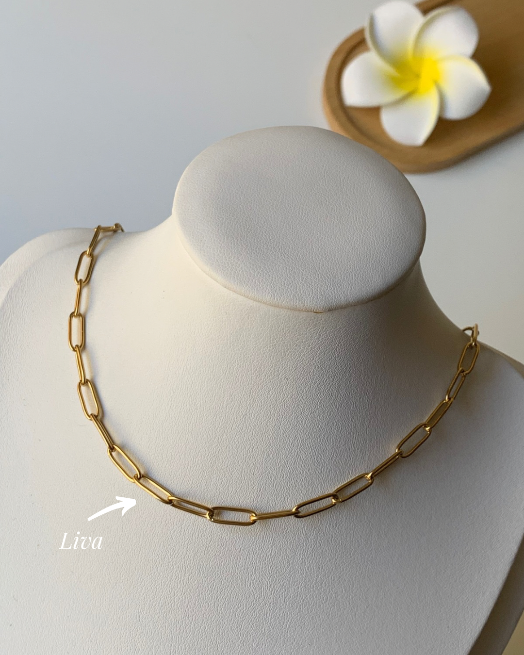 CHARMS l Collier inoxydable personnalisable