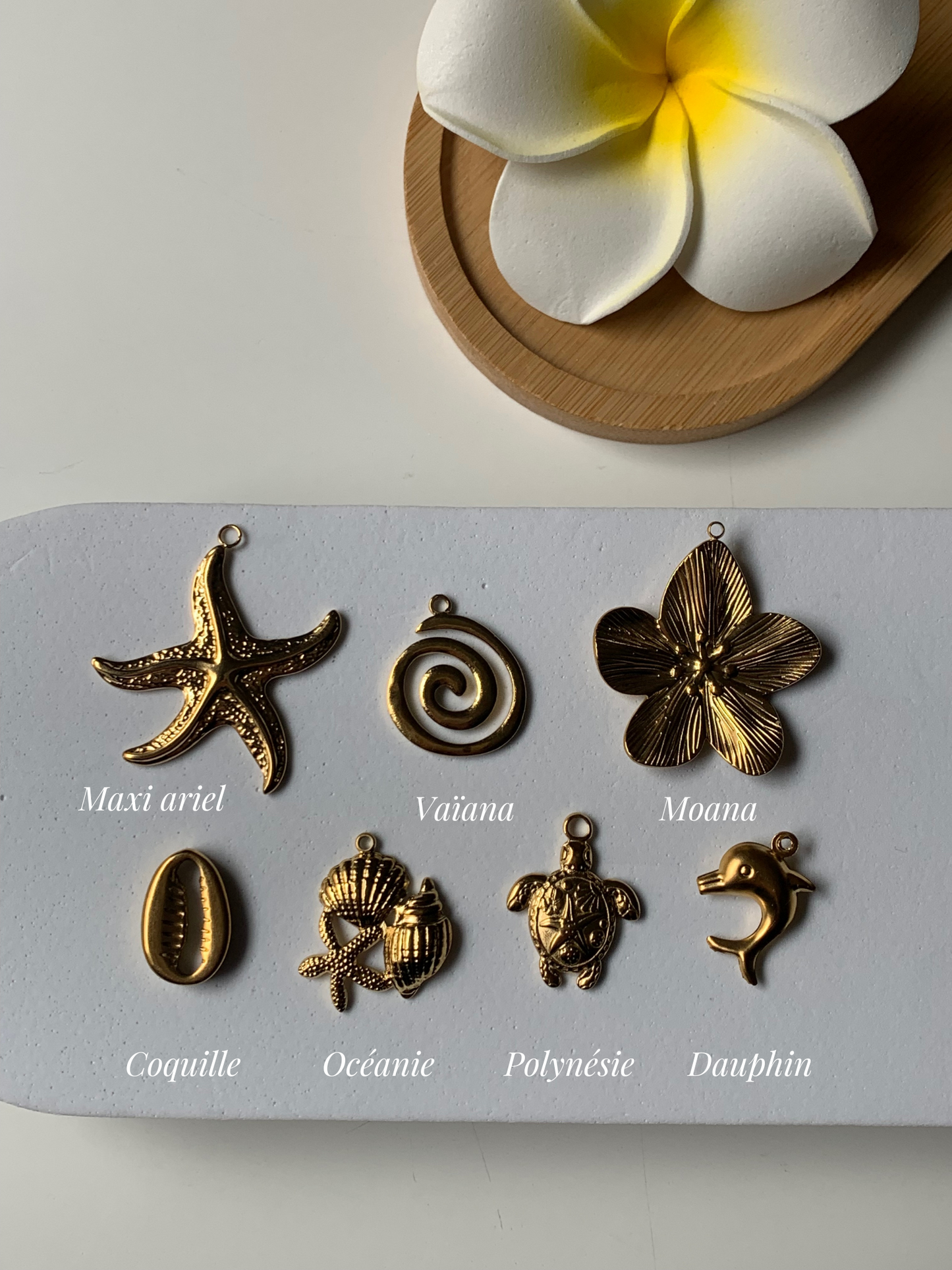 TROPICAL l Charms inoxydable