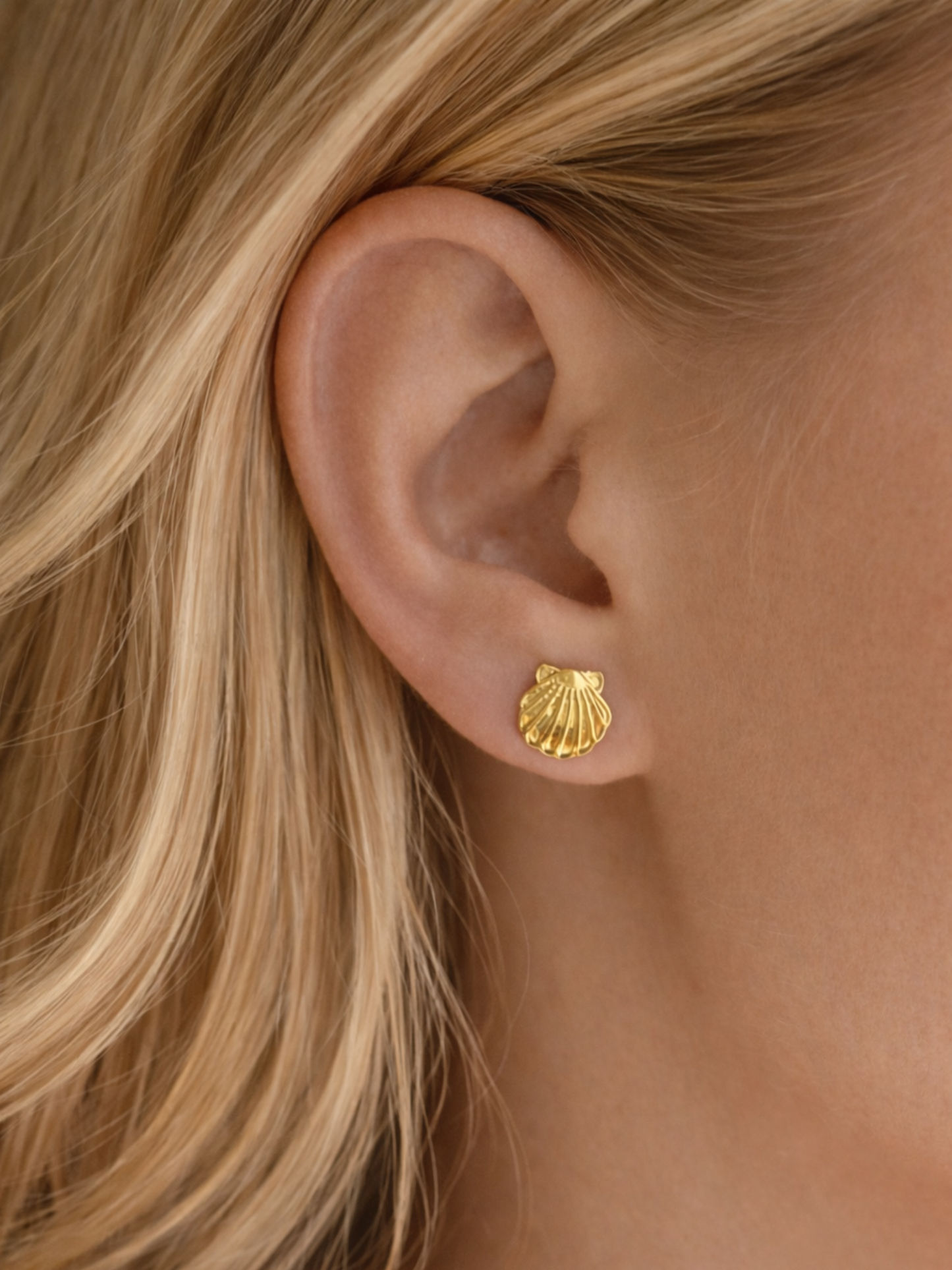 OCEAN MOOD - ARCHIPEL l Puces inoxydables