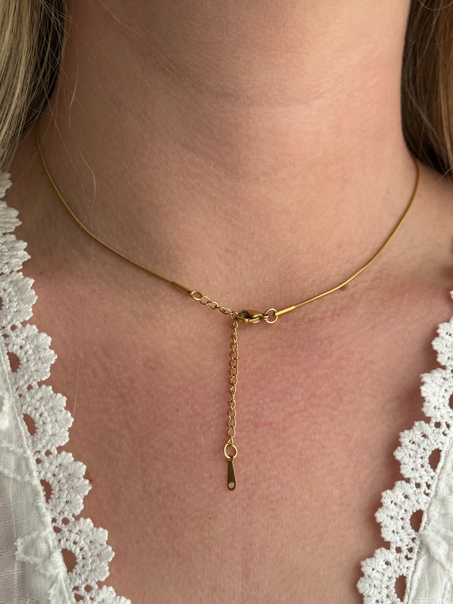 NEW l Collier inoxydable