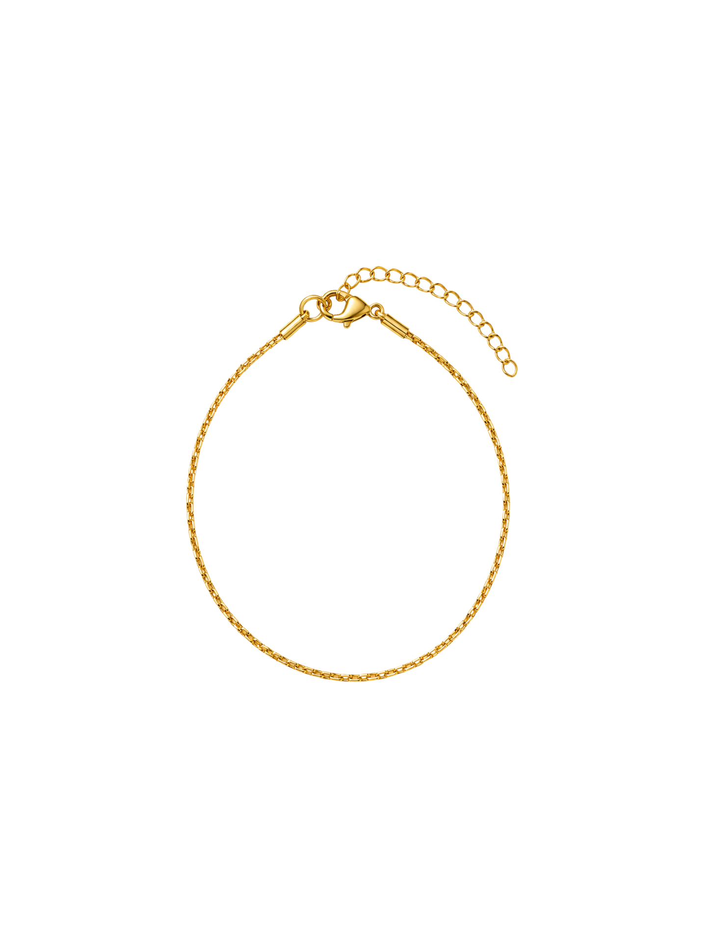 NEW l Bracelet de cheville inoxydable