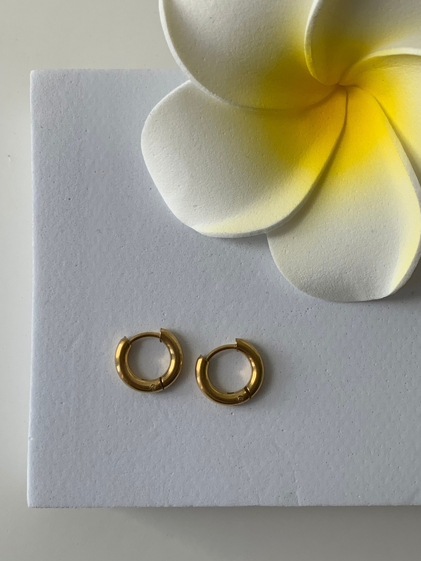 ELSA l Anneaux inoxydables - 0,8cm