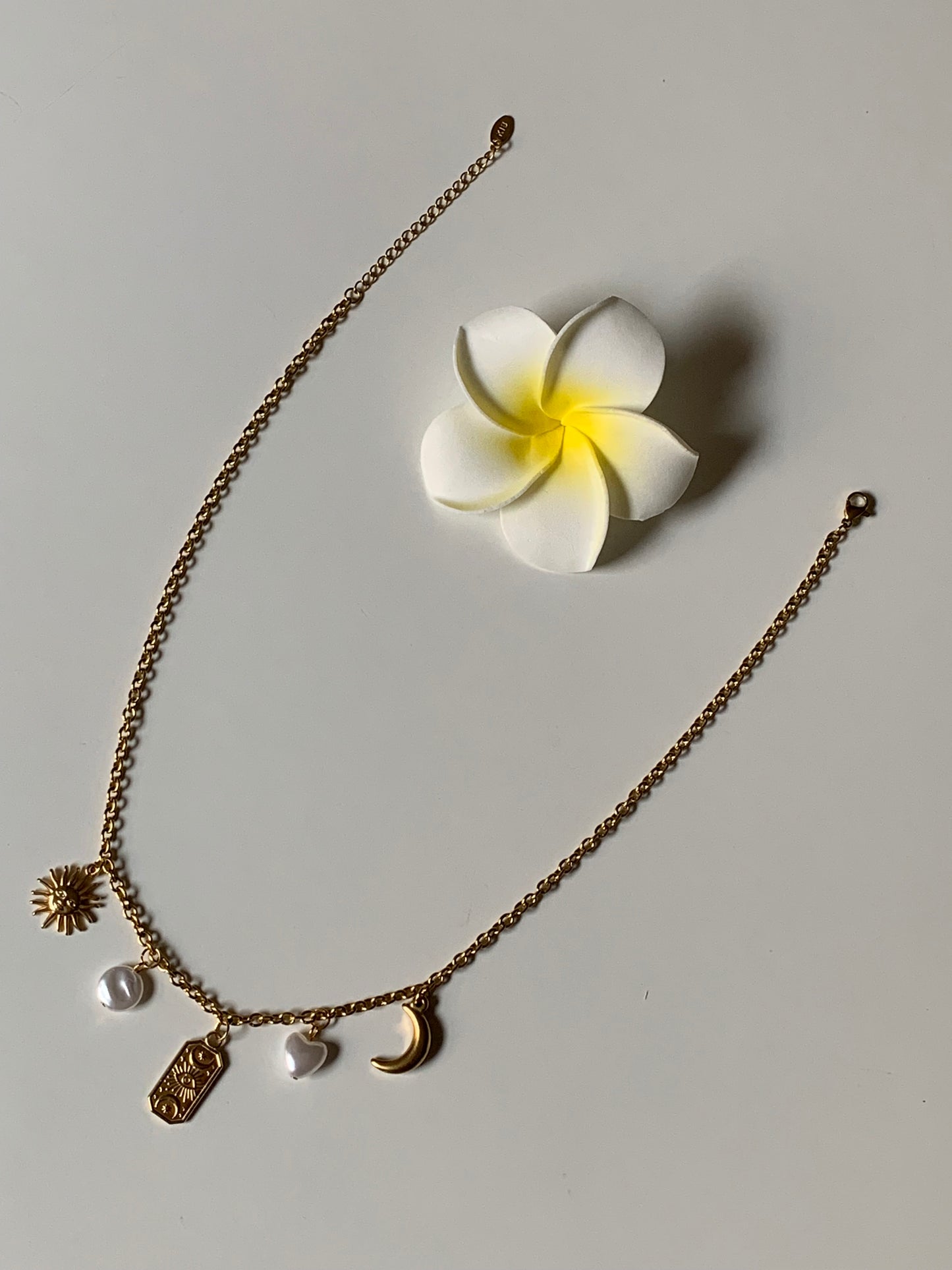 BONIFACCIO l Collier charms inoxydable