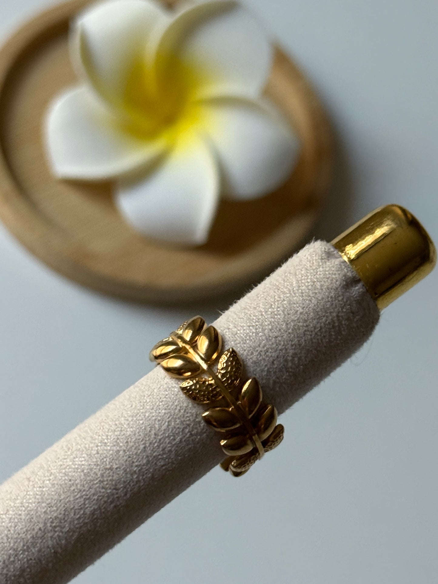 NEW l Bague inoxydable