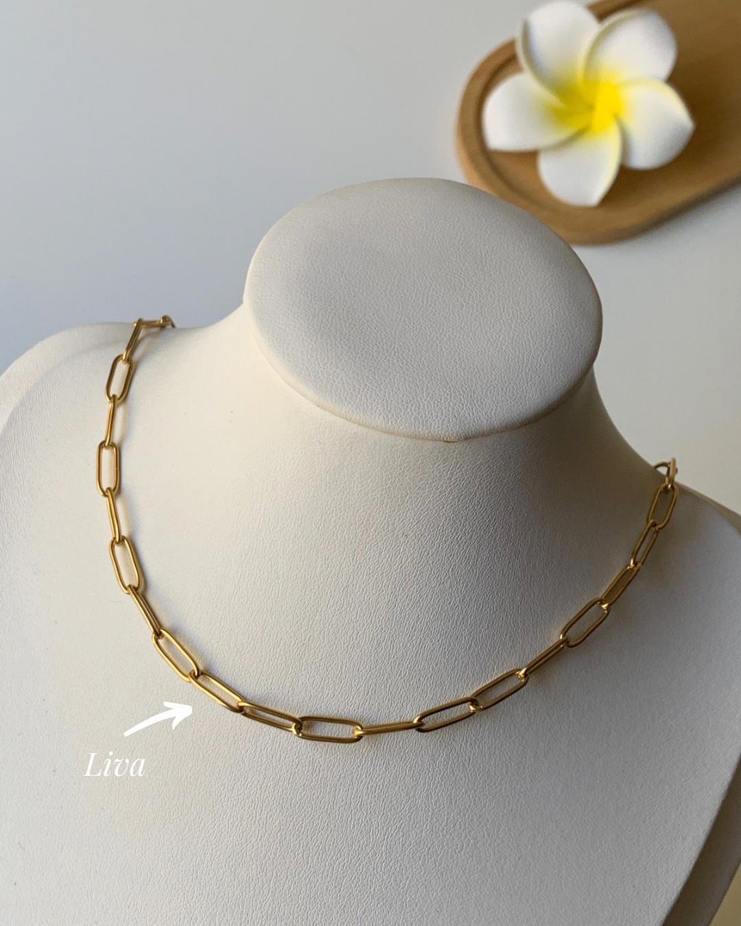 LIVA l Collier inoxydable